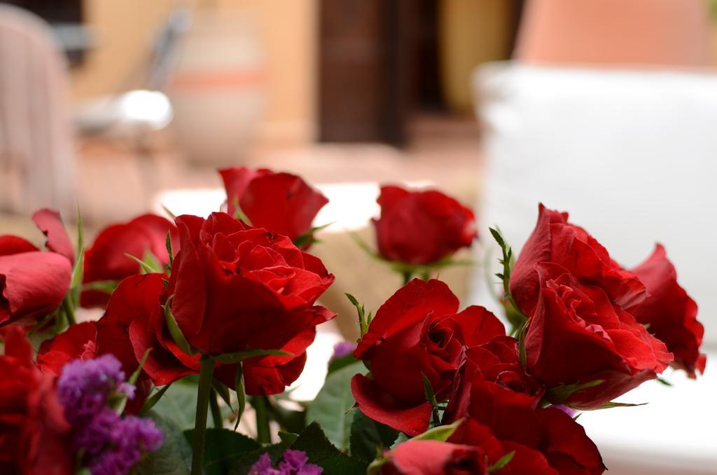 Riad Hadda Marrakesh Exterior photo